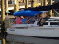 Chattahoochee Coup Too 126 1100