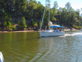 Chattahoochee Coup Too 186 1160
