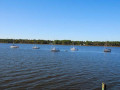 Chattahoochee Coup Too 205 1179