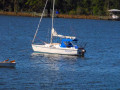 Chattahoochee Coup Too 208 1182