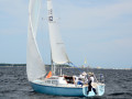 DSC 5907