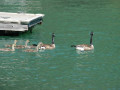 2006 Nationals021 2374