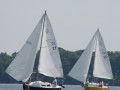 IMG 2240 4050