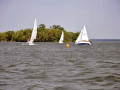 DSC 0050 4732