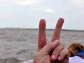 DSC 0090 4770