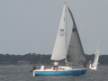 IMG 3466