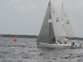 IMG 3474