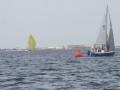 IMG 3516