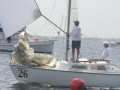 IMG 3544