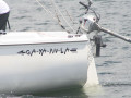 IMG 3549