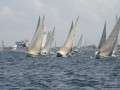 IMG 3553