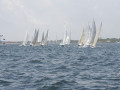 IMG 3560