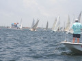 IMG 3562