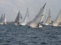 IMG 3565
