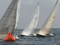 IMG 3577