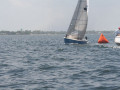 IMG 3610