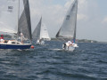 IMG 3619