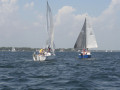 IMG 3636
