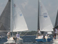 IMG 3647