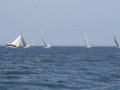 IMG 3655