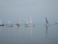 IMG 5055