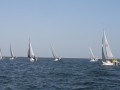 IMG 3714