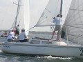 IMG 3729