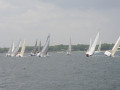 IMG 3762