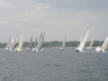 IMG 3763
