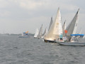IMG 3816
