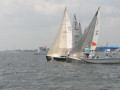 IMG 3818