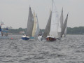 IMG 3821