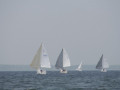 IMG 3842