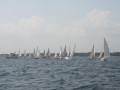 IMG 3864