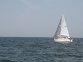 IMG 3882