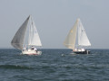 IMG 3884