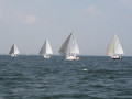 IMG 3885