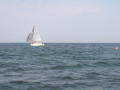 IMG 3903