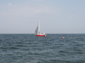 IMG 3907