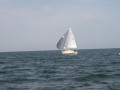 IMG 3915