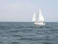 IMG 3926