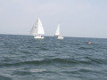 IMG 3929