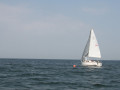 IMG 3933