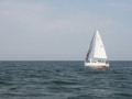 IMG 3934