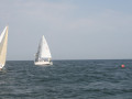 IMG 3937