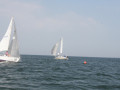 IMG 3949