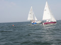 IMG 3955