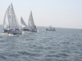 IMG 3979
