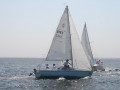 IMG 3982