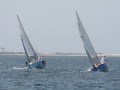 IMG 3987